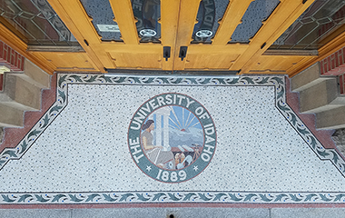 U of I Mosaic Restoration